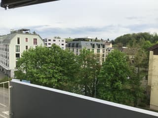 Mieten Wohnung Hunde Erlaubt Zurich Trovit