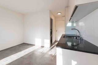 apartment for rent in ruti zh homegate ch