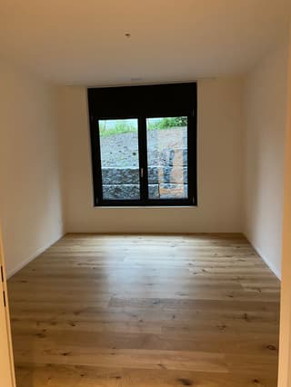 apartment house for rent in langnau am albis homegate ch
