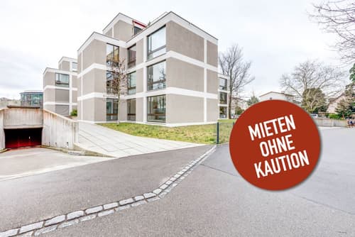 Wohnung Mieten In Mannedorf Homegate Ch