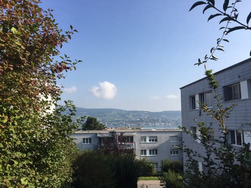 Wohnung Mieten In Au Zh Homegate Ch