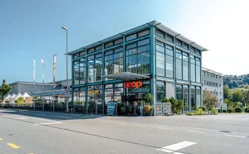 gewerbe mieten in zwingen homegate ch