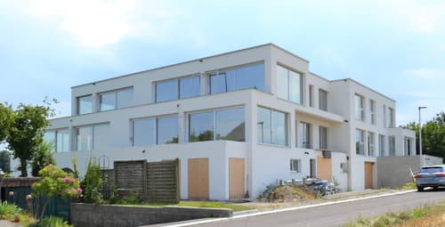 Mehrfamilienhaus Kaufen In Kanton Solothurn Homegate Ch