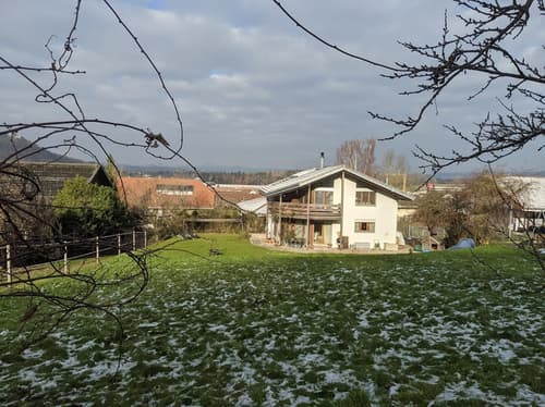 haus kaufen in mellikon homegate ch
