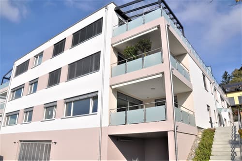 commercial industry for rent in region uster homegate ch