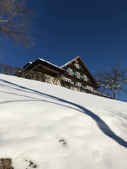 haus mieten in kanton st gallen homegate ch