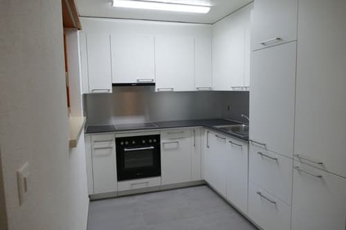 apartment for rent in dulliken homegate ch