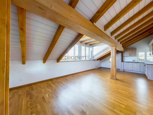 commercial industry for rent in thun homegate ch