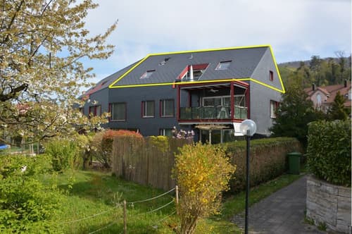 loft kaufen in kanton zurich homegate ch