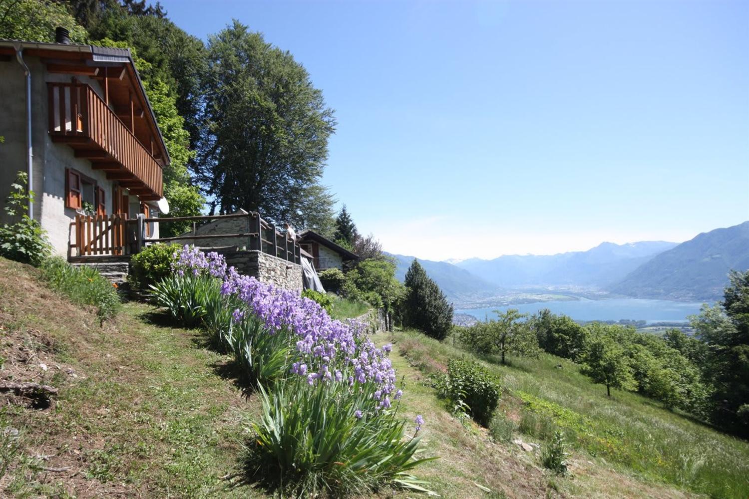 Holidays In Lago Maggiore Ronco Sopra Ascona Buy Rustico Homegate Ch