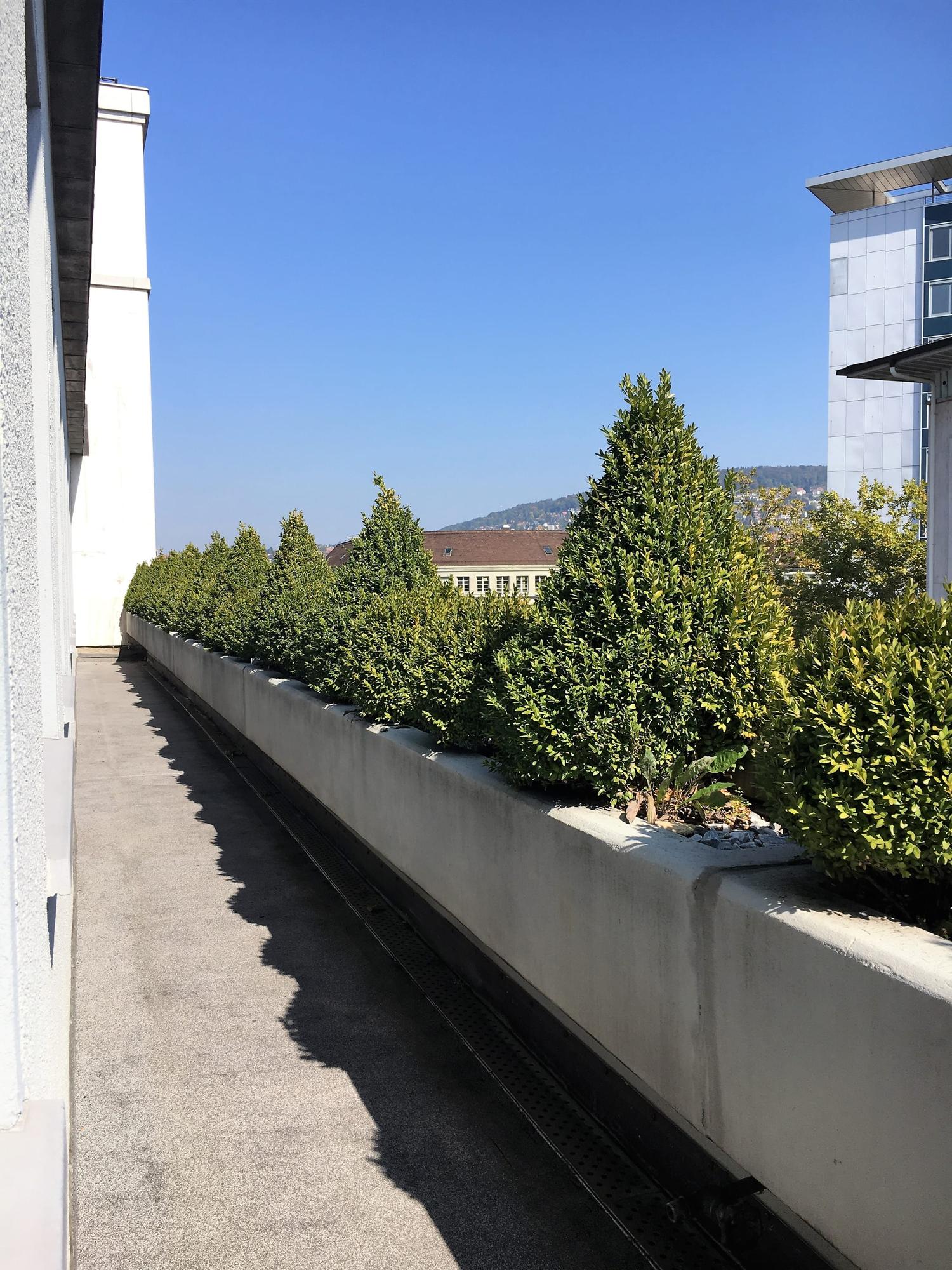 Neue ausgebaute und gekühlte Büros mit Terrasse und Aussicht., Zürich