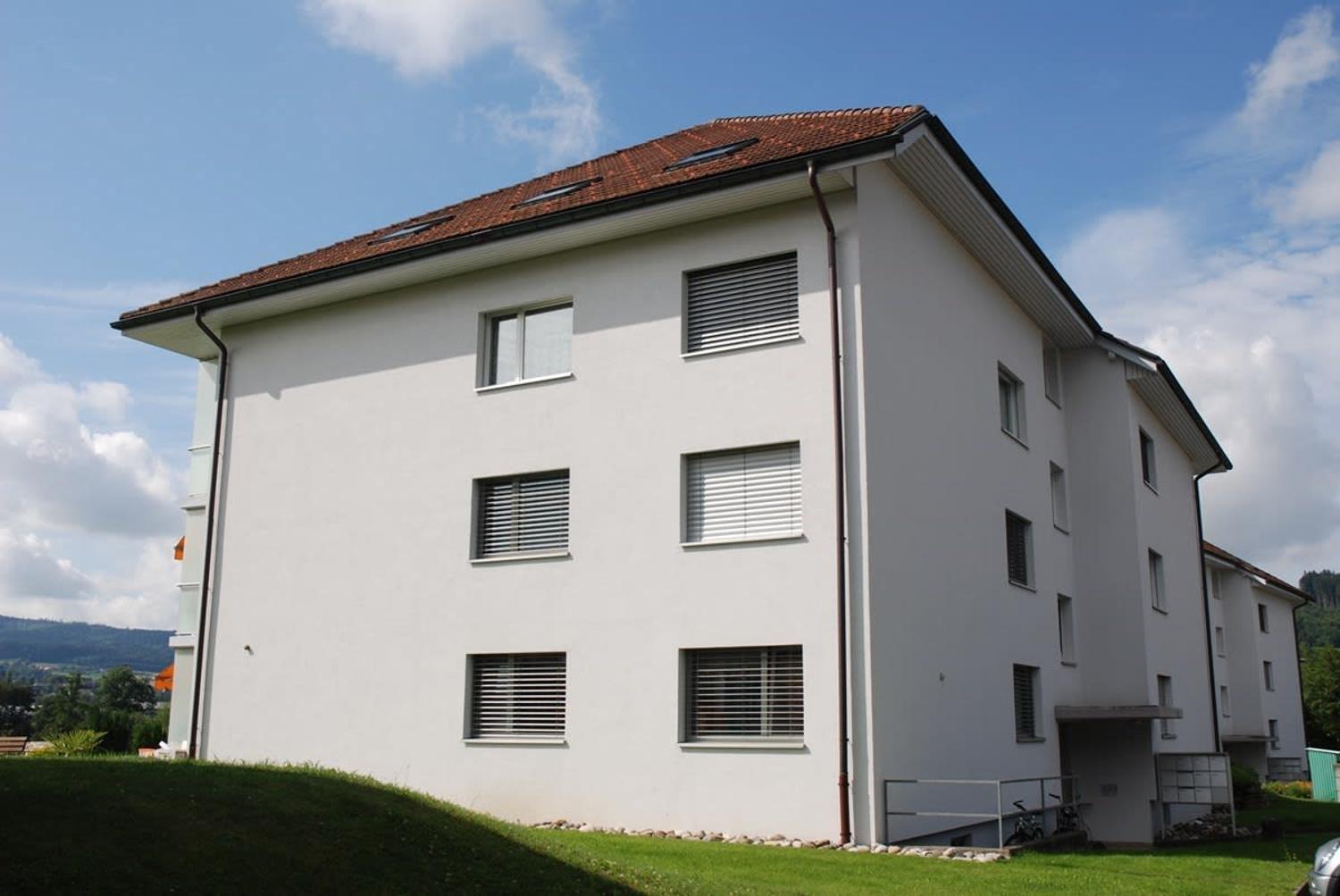 Wohnung & Haus mieten in Zetzwil | homegate.ch