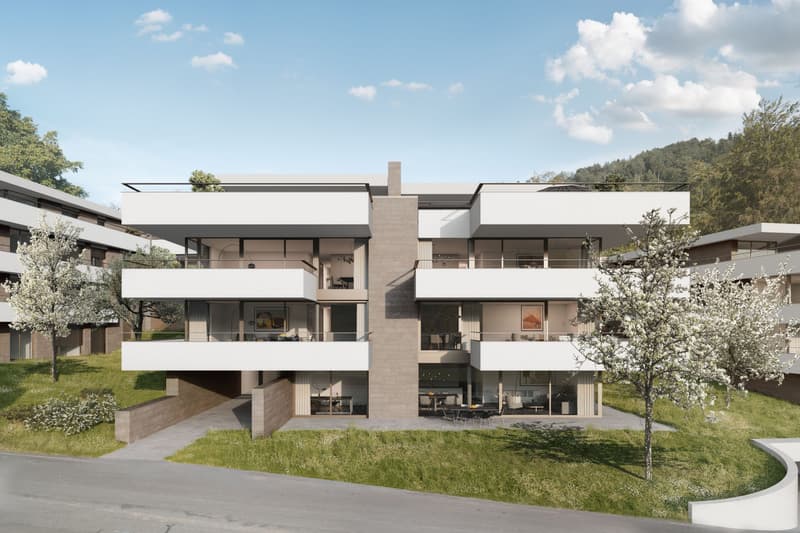 Immobilien Kaufen Kanton Zug Wohnung Oder Haus Kaufen