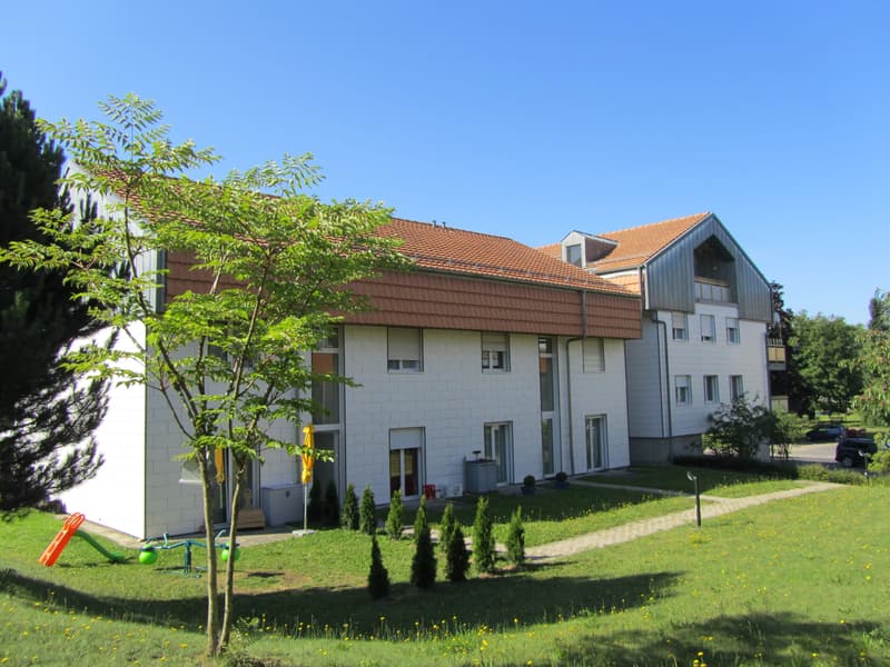 Appartement & maison à louer à Région Lausanne | homegate.ch