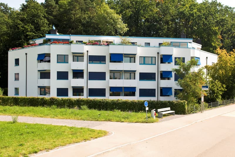 Wohnung mieten in Opfikon | homegate.ch