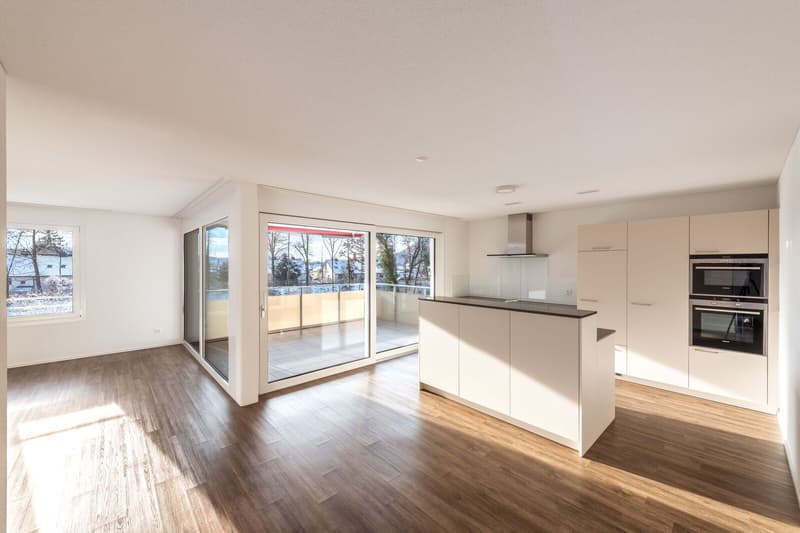 Neuwertige 2.5 Zi-Wohnung an ruhiger Lage 150 m2 (2)