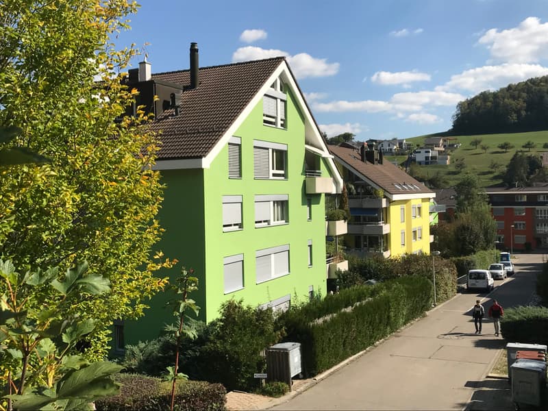 Wohnung mieten in Hölstein | homegate.ch