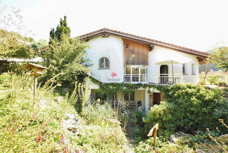 Haus Kaufen In Dietikon Region Homegate Ch