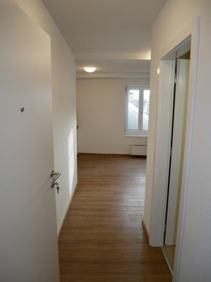 Wohnung & Haus mieten in 8887 (Mels) | homegate.ch