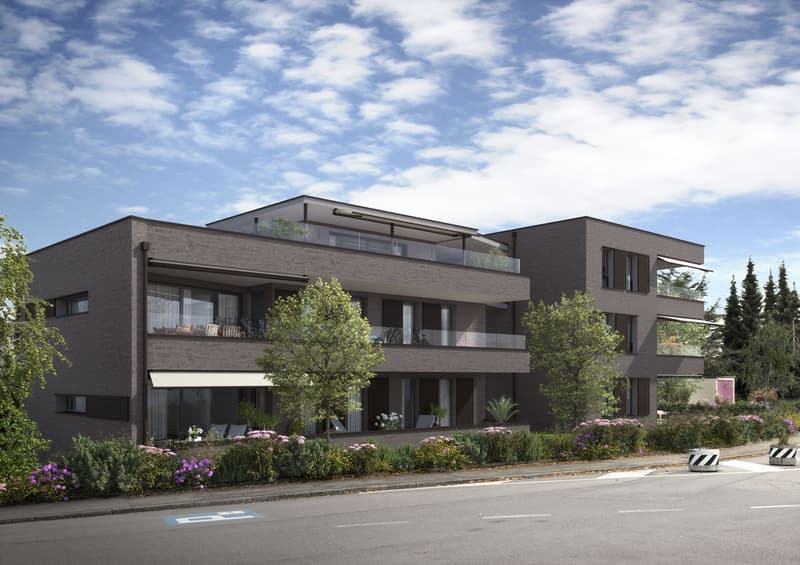 Wohnung Haus Kaufen In Suhr Homegate Ch