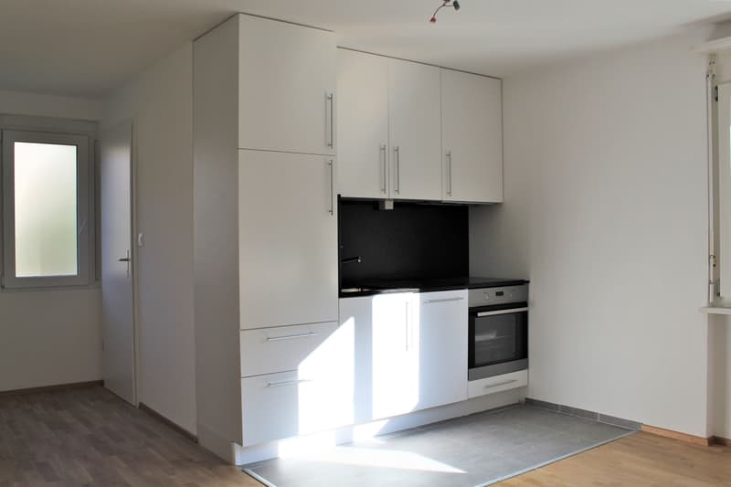 1 zimmer wohnung neue kuche bad parkett waschmaschinen anschluss wattwil wohnung mieten homegate ch