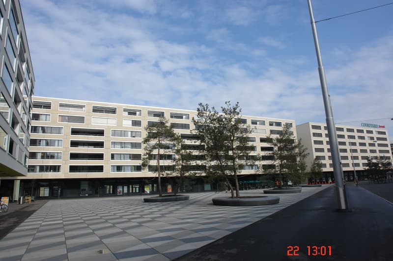 Wohnung & Haus mieten in Oerlikon [Quartier] homegate.ch