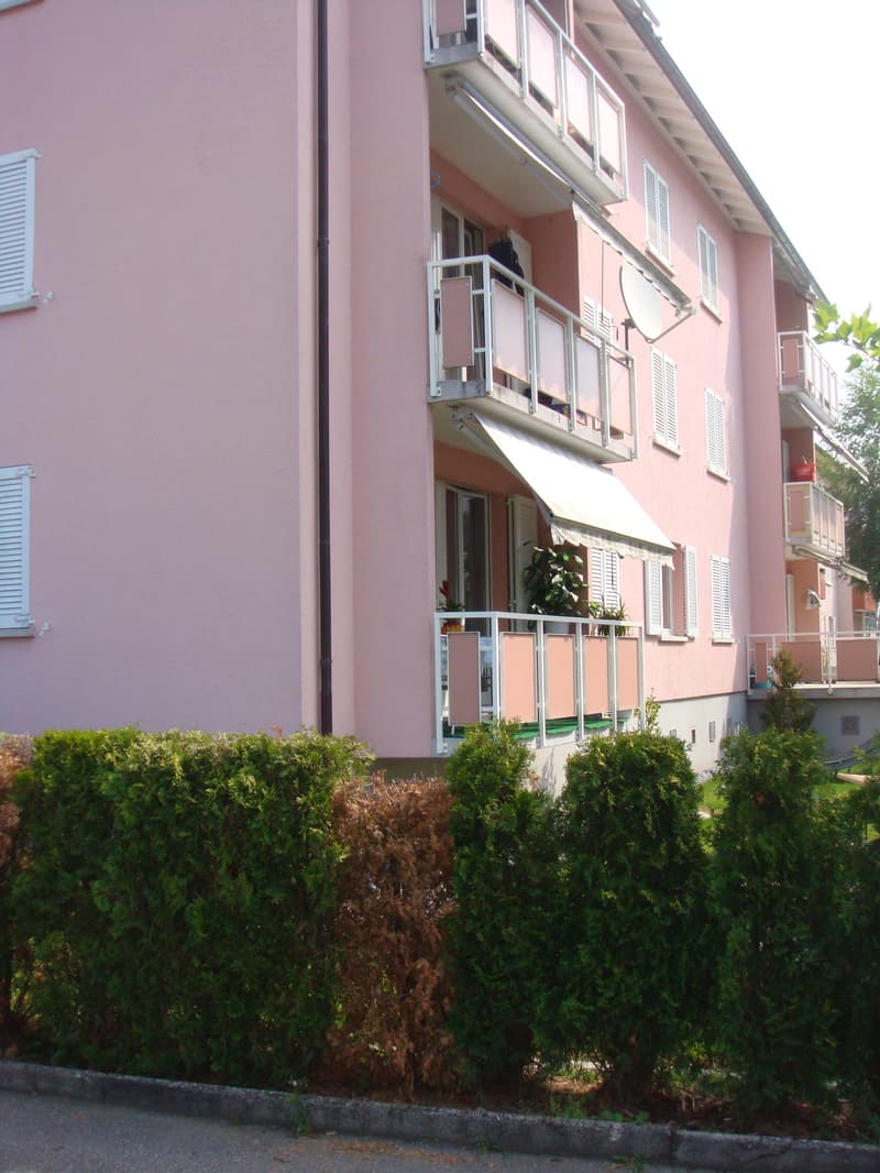 Wohnung & Haus mieten in 5314 (Kleindöttingen) | homegate.ch