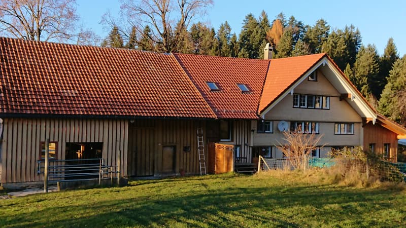 Wohnung & Haus mieten in Schwellbrunn | homegate.ch