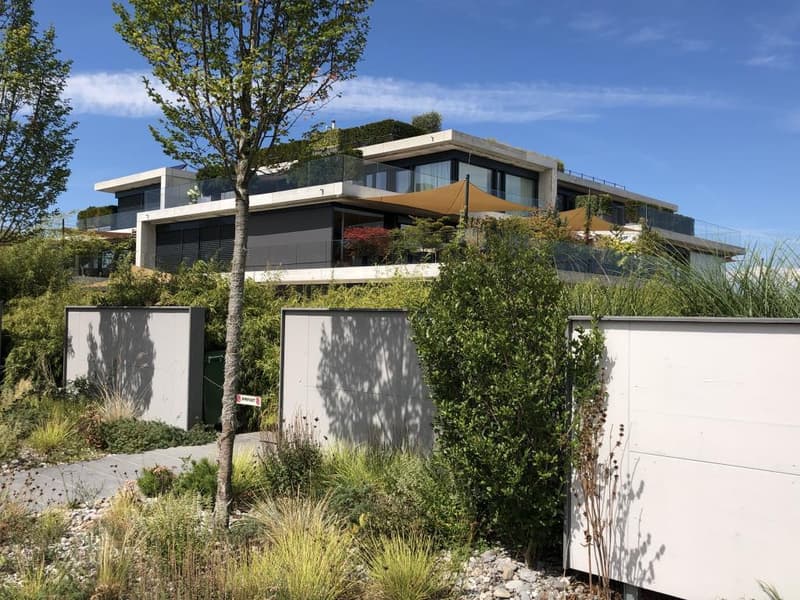 Wohnung Haus Mieten Thurgau