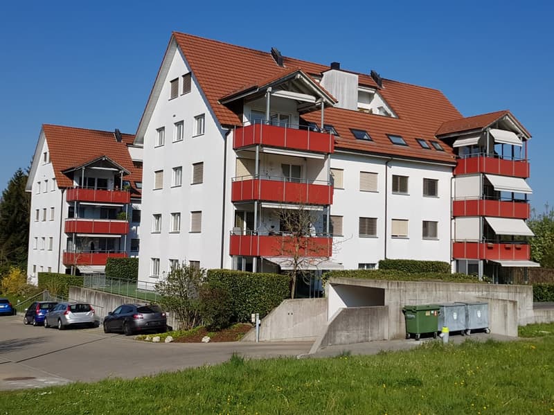 Wohnung mieten in 8157 (Dielsdorf) | homegate.ch