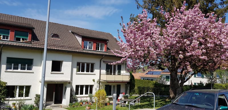 Wohnung & Haus mieten in 9010 (St. Gallen) | homegate.ch