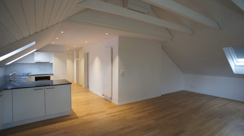 Frisch renovierte 2.5 Zimmer Wohnung im Dachgeschoss ...