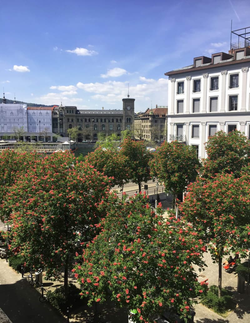 SCHÖNER BÜRORAUM UND ARBEITSPLATZ MIT SITZUNGSTISCH IN ...