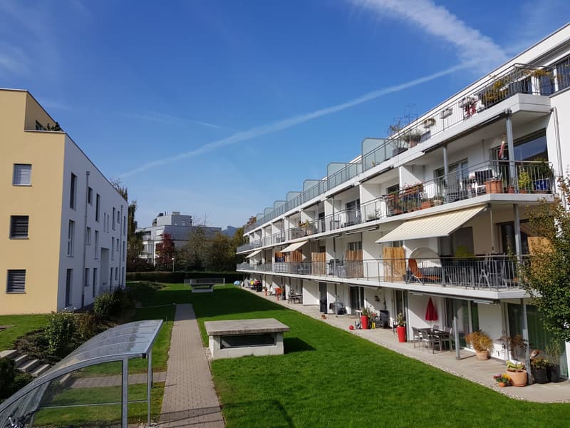 WOHNEN NÄHE ALTSTADT UND IM GRÜNEN, Olten | Wohnung mieten | homegate.ch