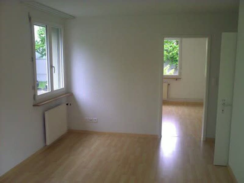zentralgelegene wohnung mit grosser terrasse winterthur rent apartment homegate ch