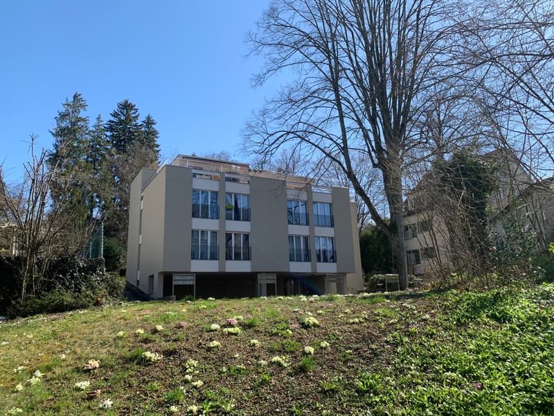 stylisch moblierte design 1 5 zimmer wohnung zurich mobliertes wohnobjekt mieten homegate ch