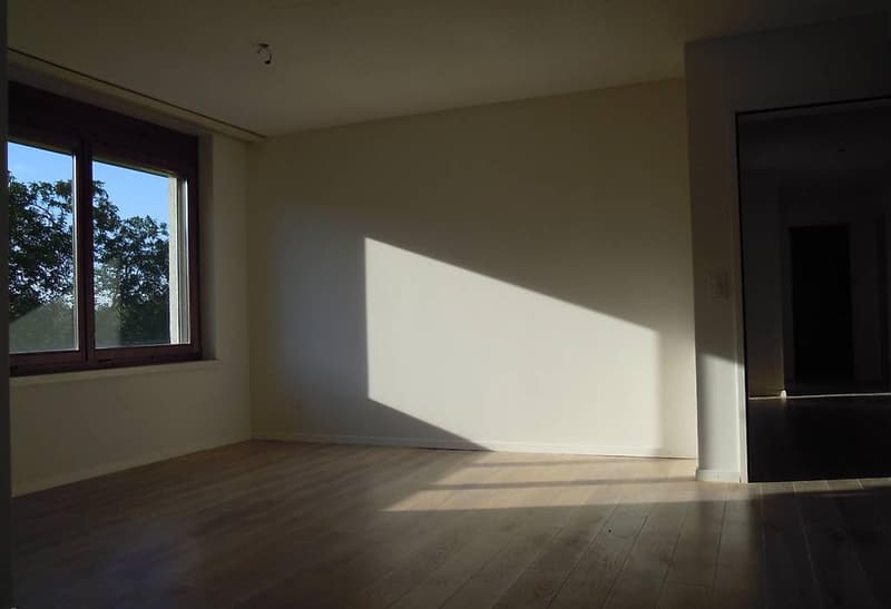 Ruhige 3.5 Zimmer Wohnung in Dietikon, Dietikon | Wohnung mieten