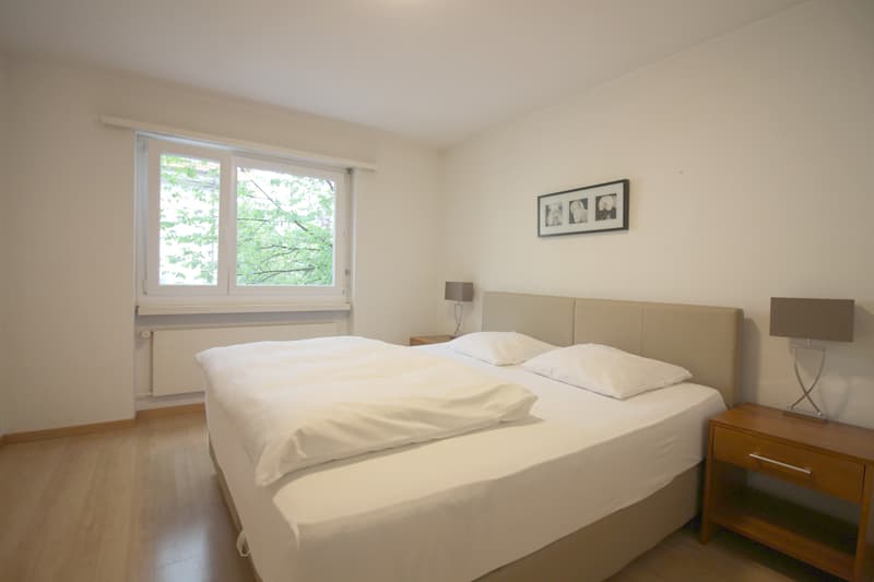 2 5 zimmer apartment im zentrum zurichs zurich rent furnished dwelling homegate ch
