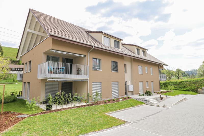 Einmalige 2.5-Zimmer-Dachwohnung in Eigentumsstandard, Bottenwil