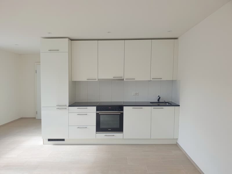 erstvermietung wohlfuhlen glucklich sein zurich wohnung mieten homegate ch