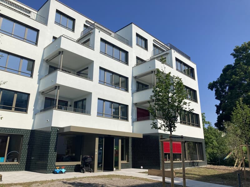 letzte attikawohnung direkt an der werdinsel zurich wohnung mieten homegate ch