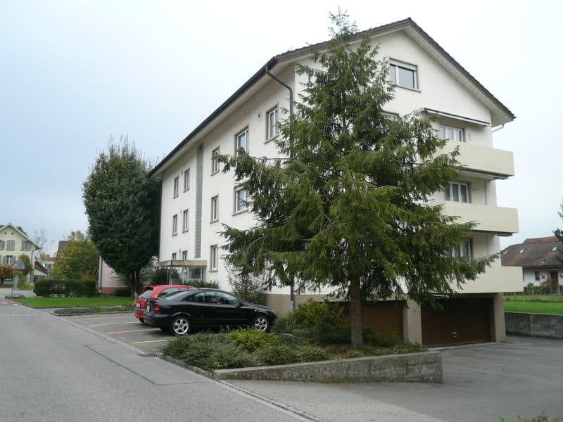 Wohnung mieten in Orpund | homegate.ch