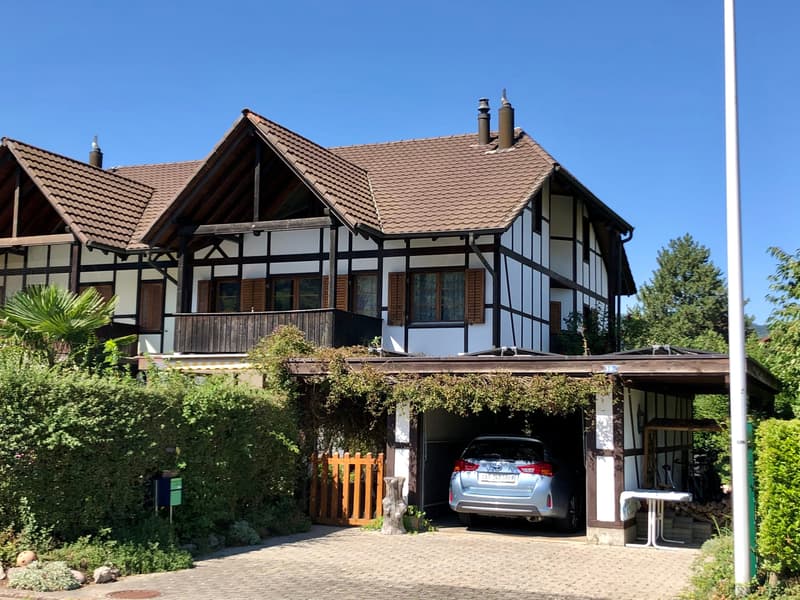 Wohnung & Haus kaufen in Stein AG | homegate.ch
