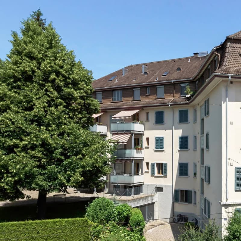 im herzen von wipkingen zurich wohnung mieten homegate ch