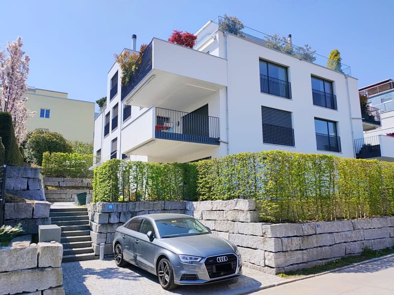 purer wohngenuss am fusse des altstetterwaldes zurich wohnung kaufen homegate ch