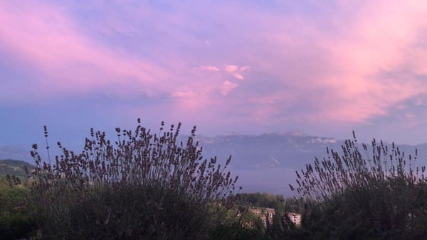 Magnifique Appartement Meublé En Sous Location 2 Pièces Vue Lac